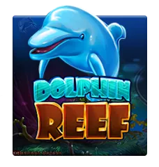 Dolphin Reef